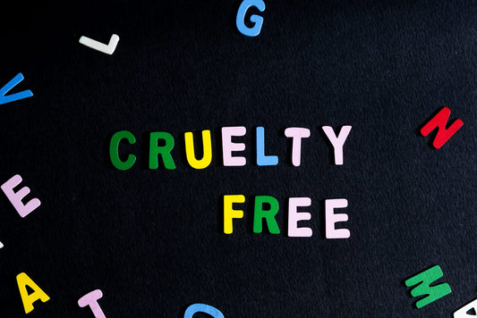 CRUELTY FREE FASHION GUIDE - 2022